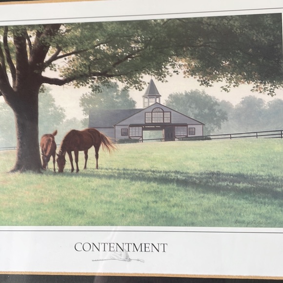 Contentment Thoroughbred Horse Farm Picture - Picture 2 of 4